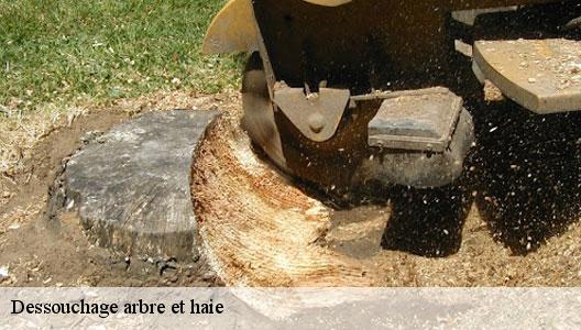 Dessouchage arbre et haie  94400
