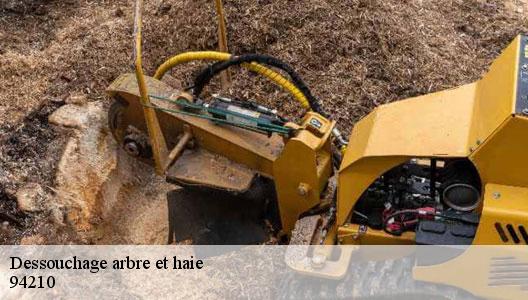 Dessouchage arbre et haie  94210