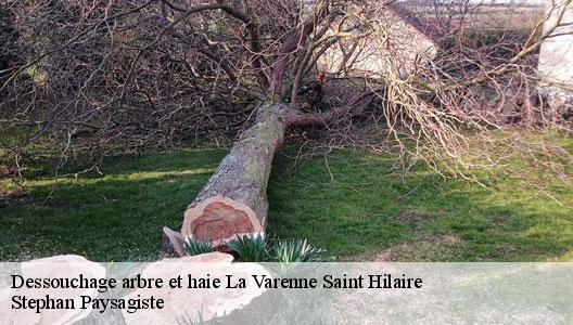 Dessouchage arbre et haie  94210
