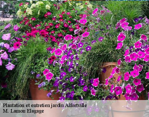 Plantation et entretien jardin alfortville-94140 M. Lamon Elagage