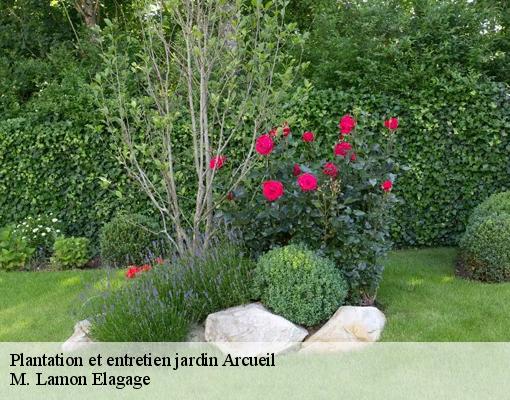 Plantation et entretien jardin  94110