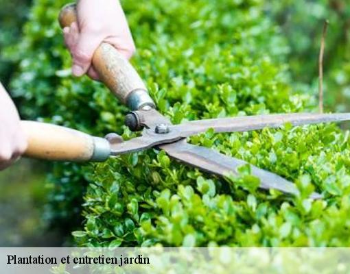 Plantation et entretien jardin  94110