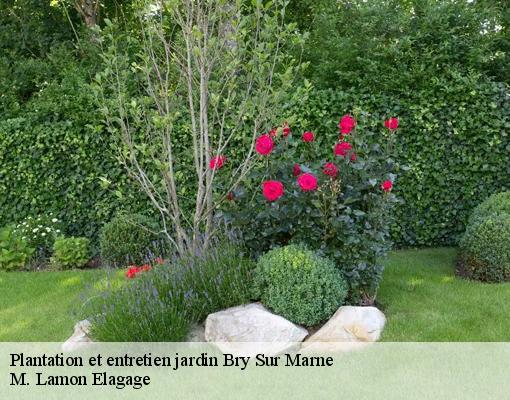 Plantation et entretien jardin 94360