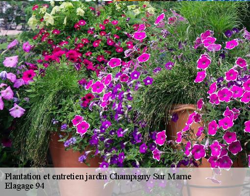 Plantation et entretien jardin champigny-sur-marne-94500 Elagage 94