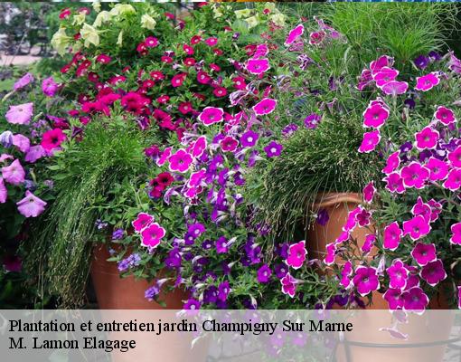 Plantation et entretien jardin  champigny-sur-marne-94500 M. Lamon Elagage