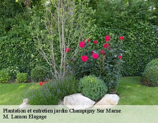 Plantation et entretien jardin 94500