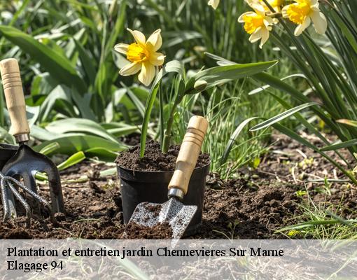 Plantation et entretien jardin