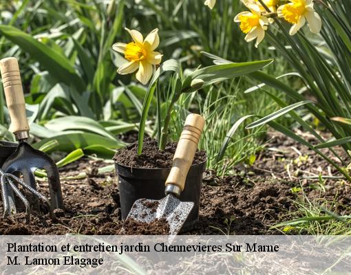 Plantation et entretien jardin