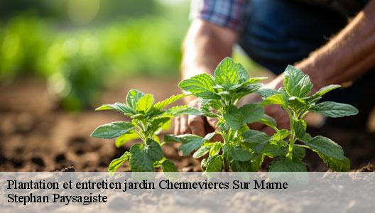 Plantation et entretien jardin  94430