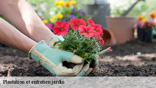 Plantation et entretien jardin  94000