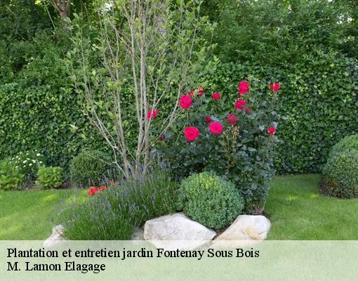 Plantation et entretien jardin  94120