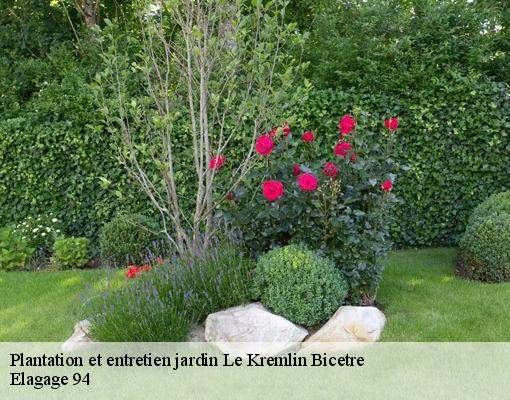 Plantation et entretien jardin  94270