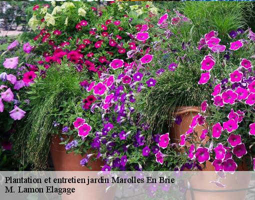 Plantation et entretien jardin  marolles-en-brie-94440 M. Lamon Elagage