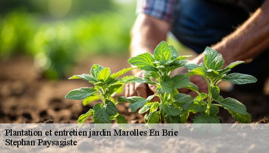 Plantation et entretien jardin  94440