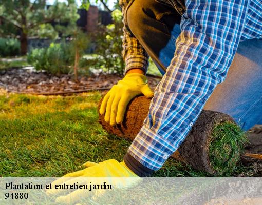 Plantation et entretien jardin 94880