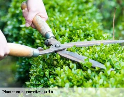 Plantation et entretien jardin 94880