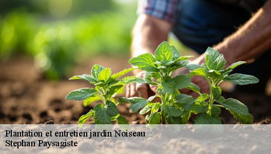 Plantation et entretien jardin  94880