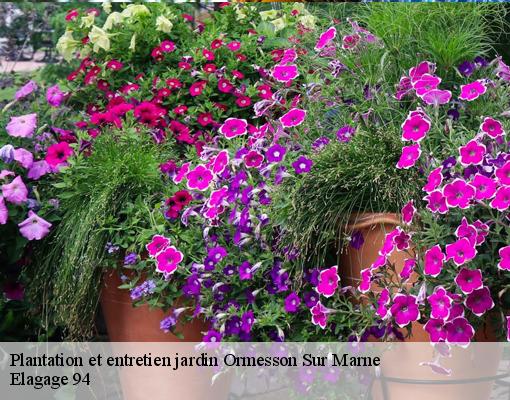 Plantation et entretien jardin ormesson-sur-marne-94490 Elagage 94
