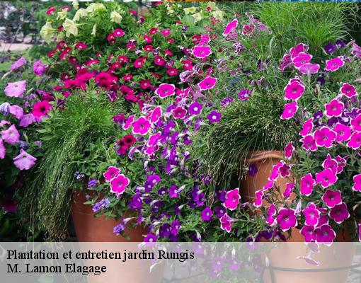 Plantation et entretien jardin rungis-94150 M. Lamon Elagage