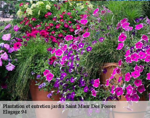 Plantation et entretien jardin  saint-maur-des-fosses-94100 Elagage 94