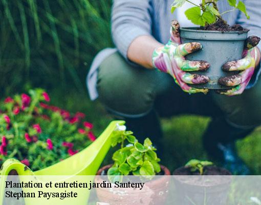 Plantation et entretien jardin  santeny-94440 Stephan Paysagiste