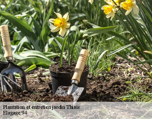 Plantation et entretien jardin