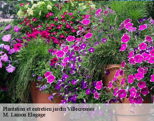 Plantation et entretien jardin villecresnes-94440 M. Lamon Elagage