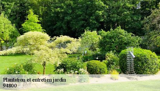Plantation et entretien jardin  94800