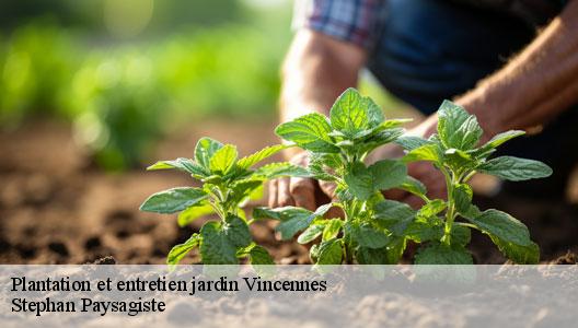 Plantation et entretien jardin  94300