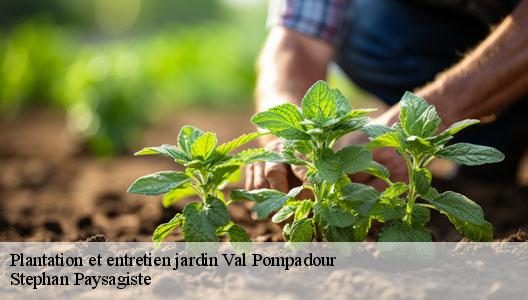 Plantation et entretien jardin  94460