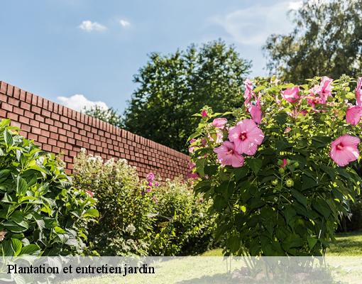 Plantation et entretien jardin