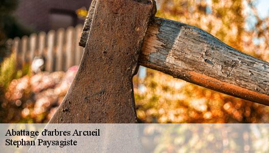 Abattage d'arbres  94110