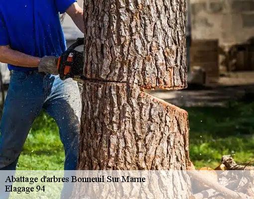 Abattage d'arbres bonneuil-sur-marne-94380 Elagage 94