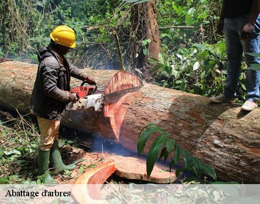 Abattage d'arbres 94230