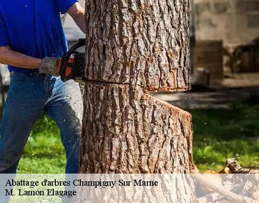 Abattage d'arbres  champigny-sur-marne-94500 M. Lamon Elagage