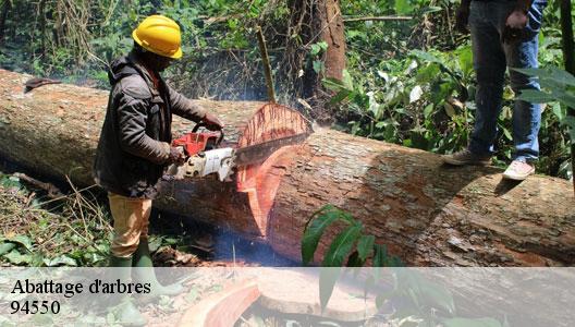 Abattage d'arbres  94550