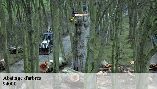 Abattage d'arbres 94000