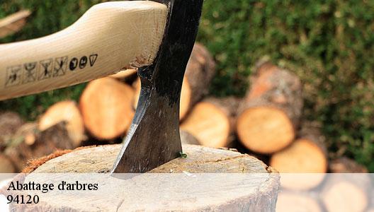 Abattage d'arbres  94120