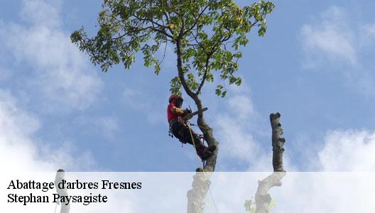 Abattage d'arbres  94260