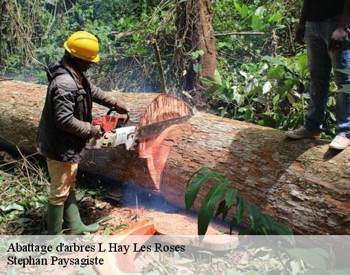 Abattage d'arbres l-hay-les-roses-94240 Stephan Paysagiste