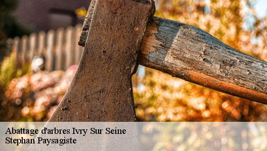 Abattage d'arbres  94200