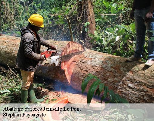 Abattage d'arbres  joinville-le-pont-94340 Stephan Paysagiste
