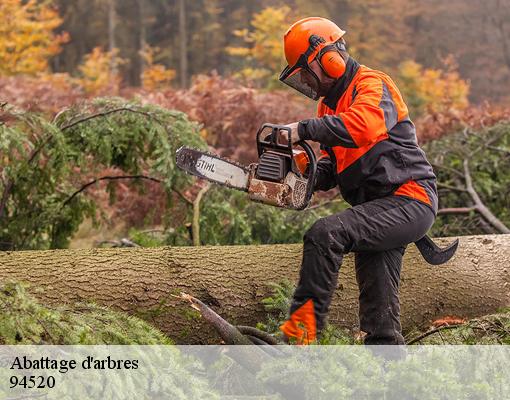 Abattage d'arbres 94520