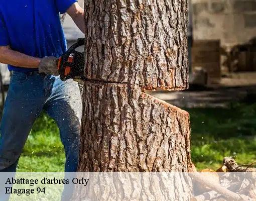 Abattage d'arbres orly-94310 Elagage 94