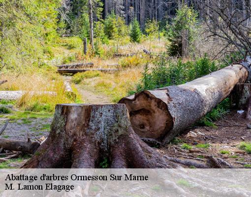 Abattage d'arbres 94490