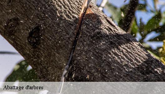 Abattage d'arbres  94520