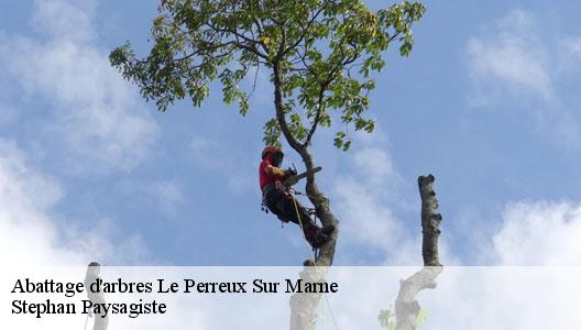 Abattage d'arbres  94170