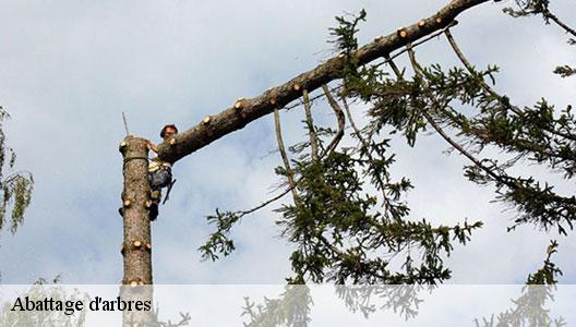 Abattage d'arbres 94510