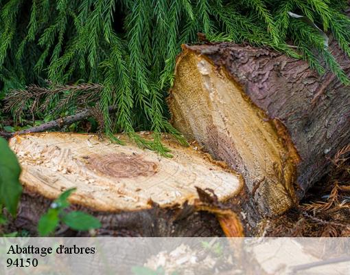 Abattage d'arbres 94150
