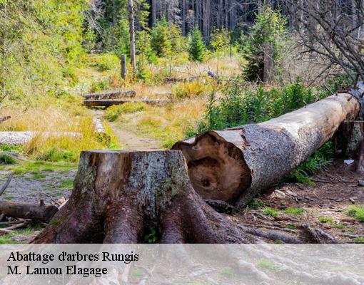 Abattage d'arbres 94150